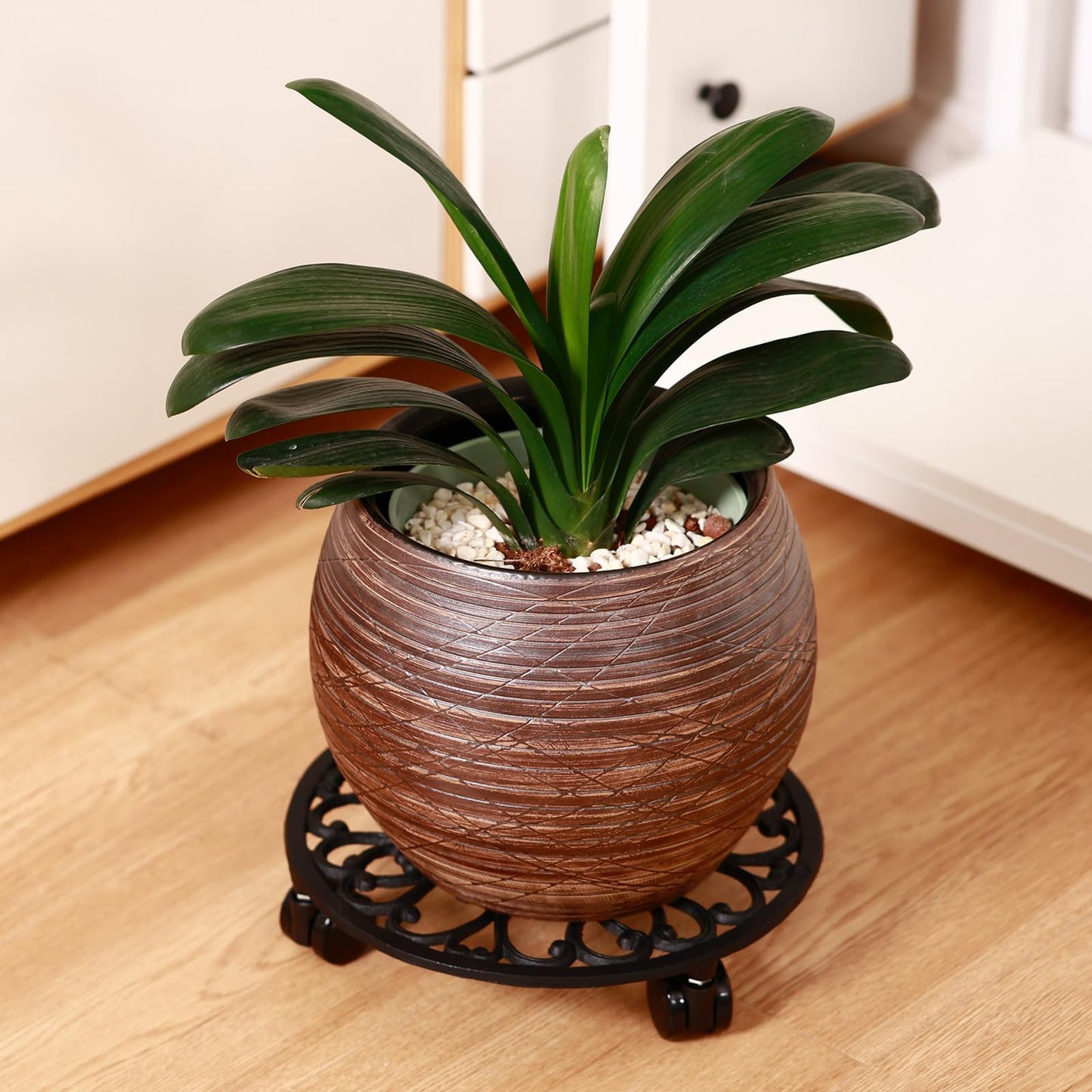 2 Packs 11 Inch Rolling Plant Stand with Wheels Wrought Iron Rolling Plant Stand with Casters Heavy Duty for Indoor Plants Rollers Potted Plant Mover, Metal Round Plant Dolly