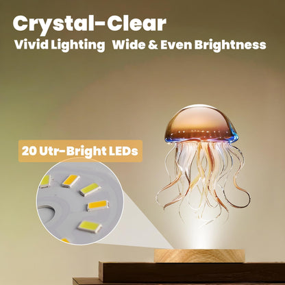 FuoiCorn Wood LED Light Base for Crystal Glass Art,Auto Timer