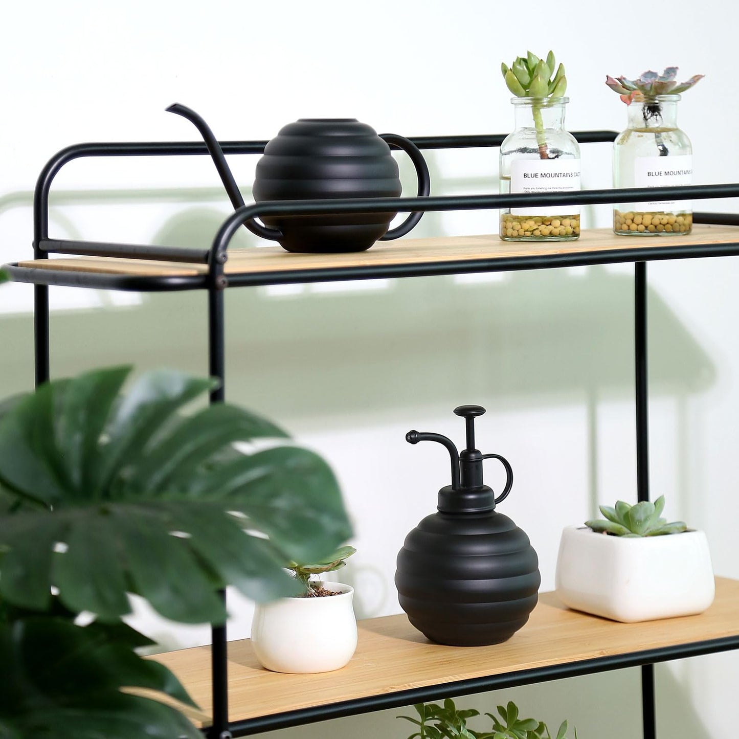 Lianshi Plant Watering Bottle, 400ml/14oz, Retro Style Watering Can, Matte, Frosted (Black)
