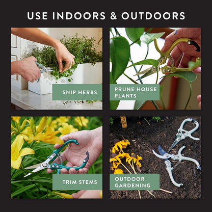 Modern Sprout Pruning Shears - Herb Snipping Scissors- Lightweight Gardening Tools W/Easy Lock - Flower Cutter Garden Shears - Carbon Steel Blade + Plastic-Free Reusable Holster (Multicolor 12 Pcs)