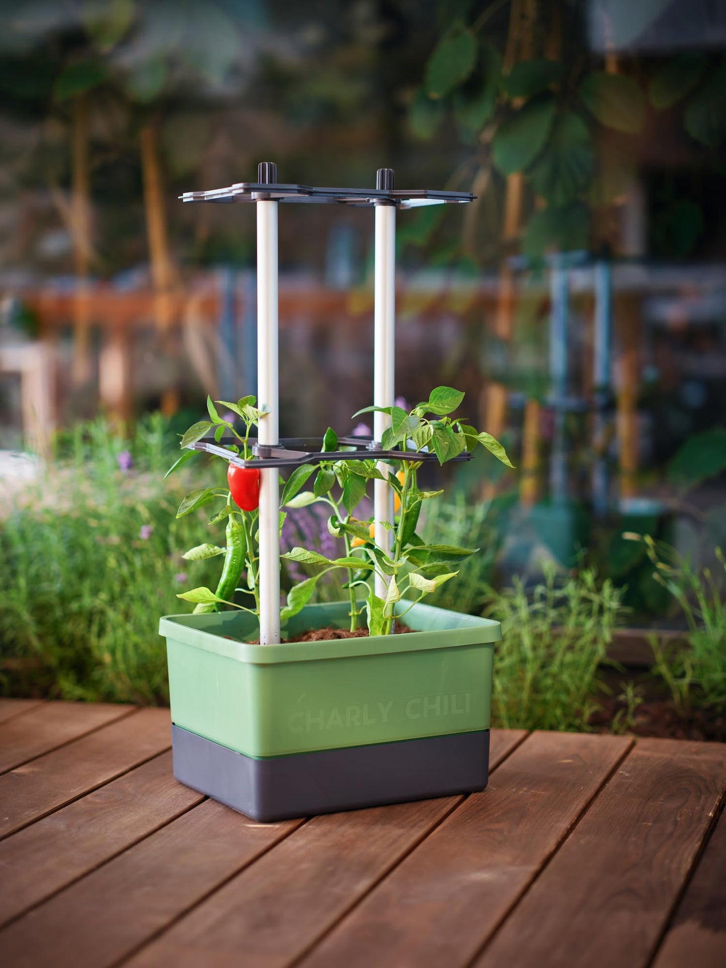 BUZZY Seeds Charly Chili Self-Watering Planter with Vertical Trellis – 1.2 Gal Reservoir, Large Capacity Planter for Chili Peppers, Bell Peppers & Eggplants (Green)