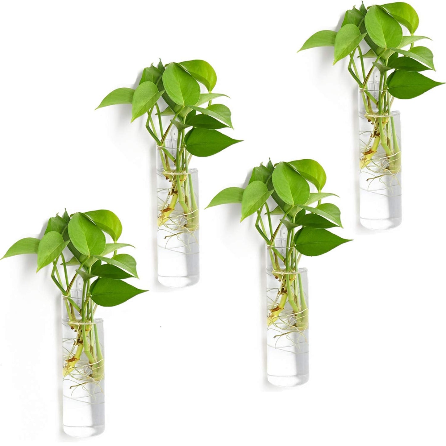 Vumdua 4 Pack Glass Planters, Clear, 5.9 in H x 1.85 in D, Suitable for Most Water Plants, Perfect for DIY Propagation Station, Easy to Install, Elegant and Functional