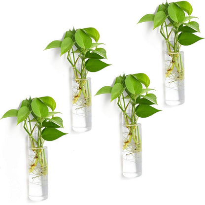 Vumdua 4 Pack Glass Planters, Clear, 5.9 in H x 1.85 in D, Suitable for Most Water Plants, Perfect for DIY Propagation Station, Easy to Install, Elegant and Functional