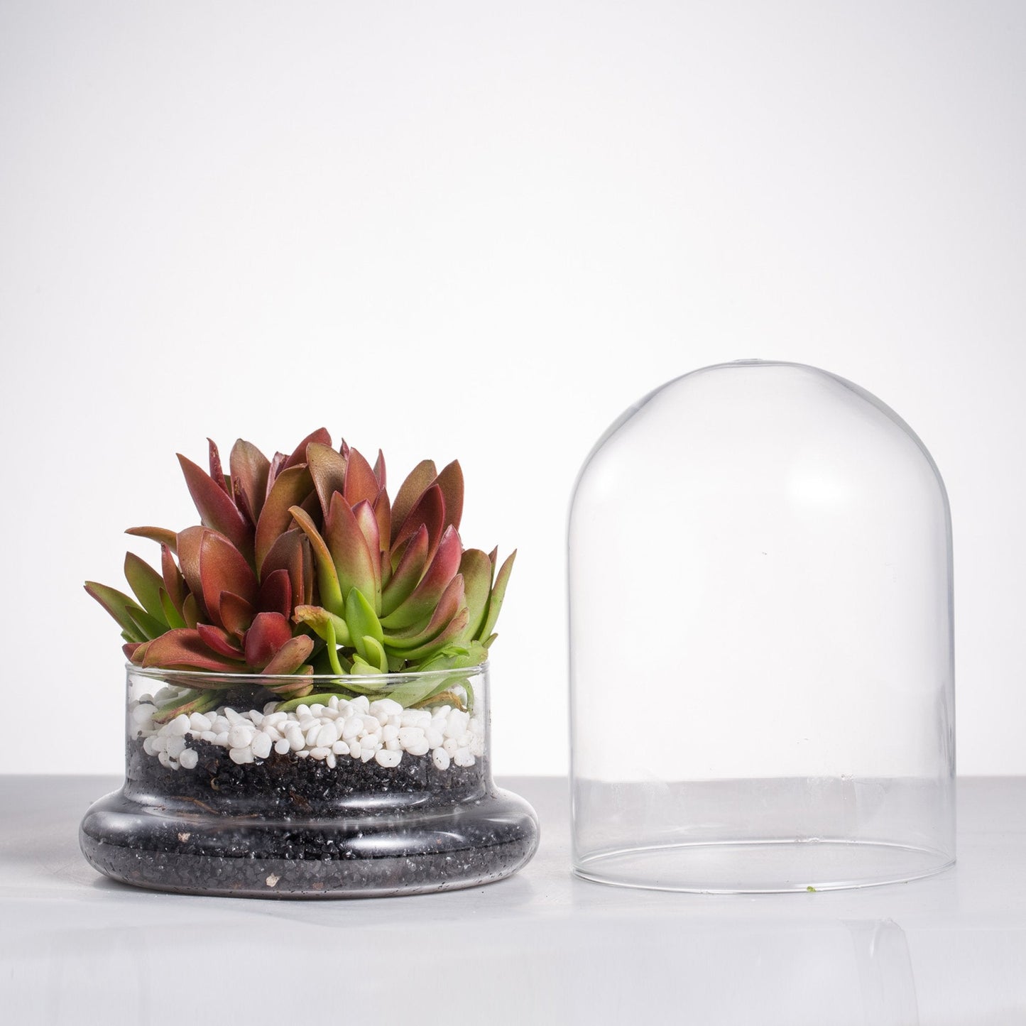 NCYP Small Clear Decorative Glass Terrarium Cloche with Air Hole - 4.7 x 4.7 x 6.3 Inches Glass Dome with Base for Miniature Plants - Display Storage (No Plants Included)