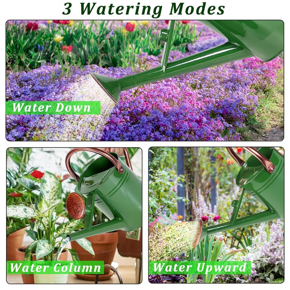 Megawodar 1 Gallon Metal Watering Can with Removable Spout, Nice Galvanized Steel Water Can for Indoor and Outdoor Plants (House Plants)