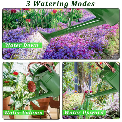 Megawodar 1 Gallon Metal Watering Can with Removable Spout, Nice Galvanized Steel Water Can for Indoor and Outdoor Plants (House Plants)