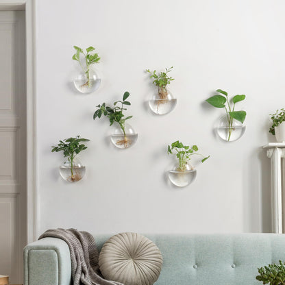 Wall Propagation Planters 6 Pack Glass Wall Planters for Indoor Plants, Wall Plant Holder Plant Propagation Wall Hanging, Glass Flower Vase Indoor Hydroponic Decor