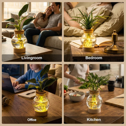 Propagation Stations, Plant Propagation Station with Light Base, Glass Propagation Vases, Hydroponic Vase for Plants, Glass Terrarium for Home Office Windowsill Tabletop Decoration (5)