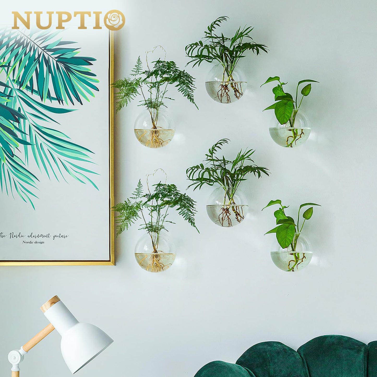 NUPTIO Wall Hanging Planter Terrarium: 4 Inch Glass Air Plant Holder 6PCS Propagation Indoor Floral Vase Flat Round Hydroponic Container Wall-Mounted Floating Pots for Bathroom Balcony Greenhouse