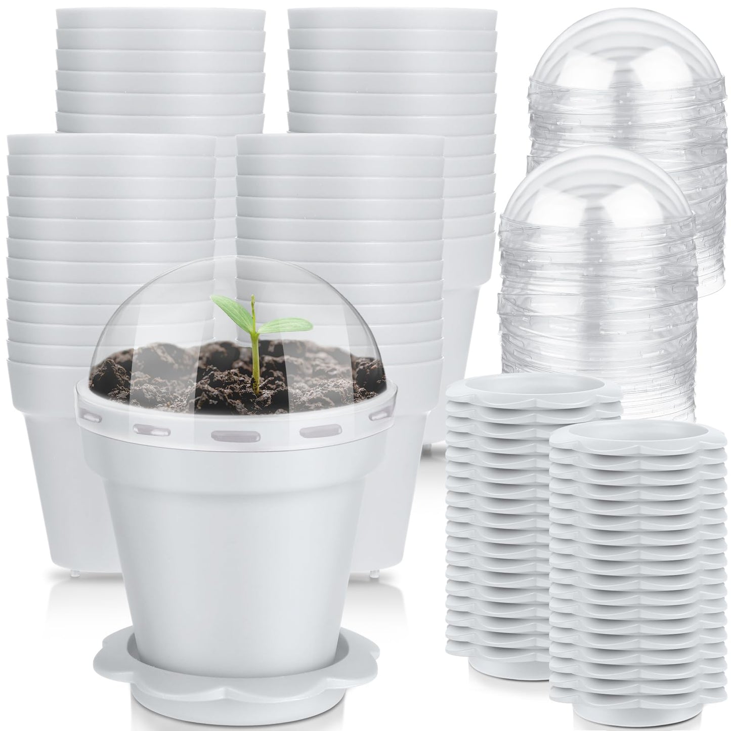Domensi 80 Pcs 3 Cupcake Plant Nursery Pots with Humidity Dome and Saucer Small Plastic Gardening Pot Plant Containers Cups Seedling Planter Seed Starter Pots for Flower Succulent Indoor (White)