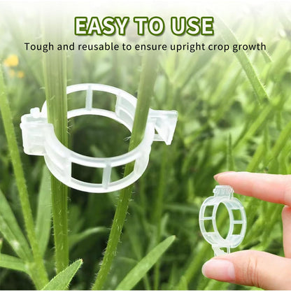 oddmmo 200 Pack Secured Plastic Plant Clips, 2024 Combinable Plant Support Clips, Plastic Trellis Clips for Climbing Plants, Vine Vegetables Fixing Clips, Plant Clips for Tomato Trellis & Peony Cages