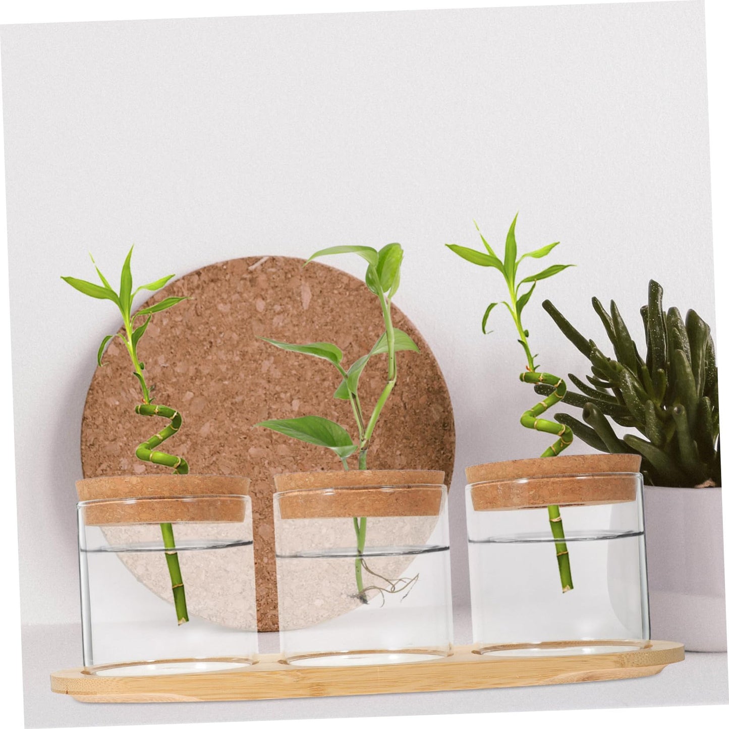 SUPVOX 1Set Hydroponic Indoor Garden Glass Bulb Vases with Stand for Tabletop Plant Terrarium for Home and Office Decoration
