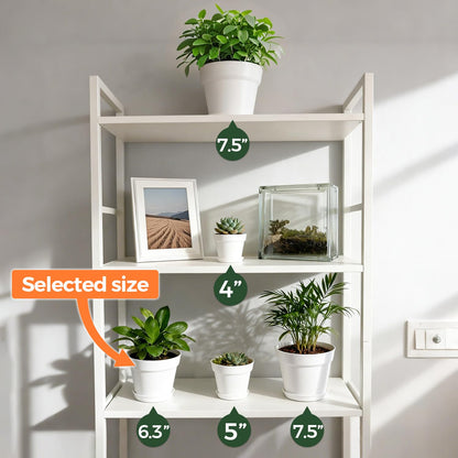 T4U 6 Inch Plant Pot 8-Pack, Plastic Planter with Drainage Hole and Saucer, Decorative Nursery Pots Bulk for African Violet, Snake Plant, Succulent, Herb and Plants Indoor (8 Pcs 6" Pots, White)