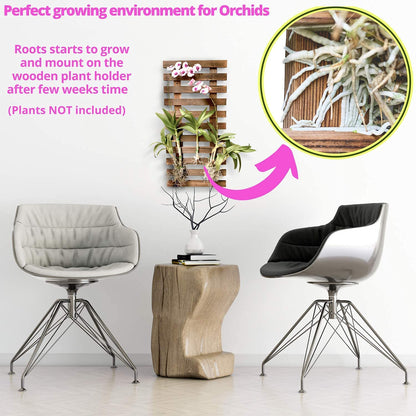 ShopLaLa Bundle- 2 Pack, 23.6 Inch Wooden Plant Holder + 10 Pack, 4 Inch White Self Watering Plastic Pot Modern Hydroponic Vertical Live Garden Display Wall Mount Plant Stand Home Living Room Decor