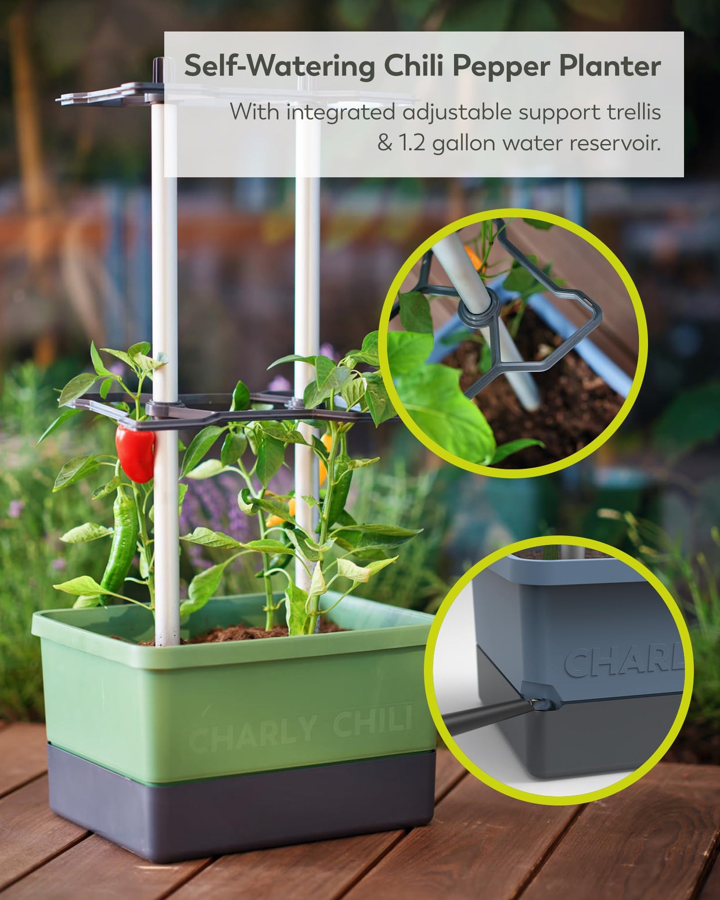 BUZZY Seeds Charly Chili Self-Watering Planter with Vertical Trellis – 1.2 Gal Reservoir, Large Capacity Planter for Chili Peppers, Bell Peppers & Eggplants (Green)