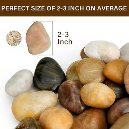 NUPICK 3lb River Rocks for Plants Indoor, 2-3Inch Mixed Pebbles for Vases Fillers, Decorative Gravel for Fish Tank, Natural Polished Stones for Succulent, Bonsai, Landscaping, Bird Baths