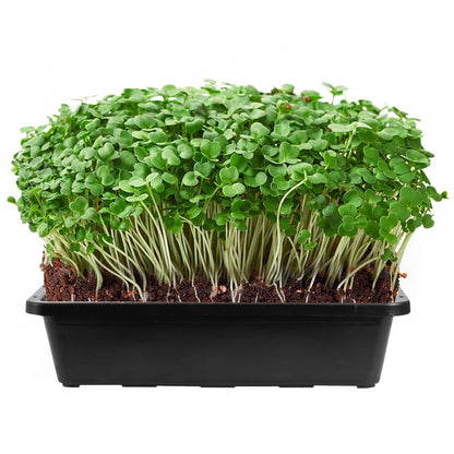 SINJEUN 15 Pack Mesh Bottom Seed Starter Trays, 15 x12 Inch Plastic Plant Tray Mesh Plant Germination Trays for Microgreens, Black
