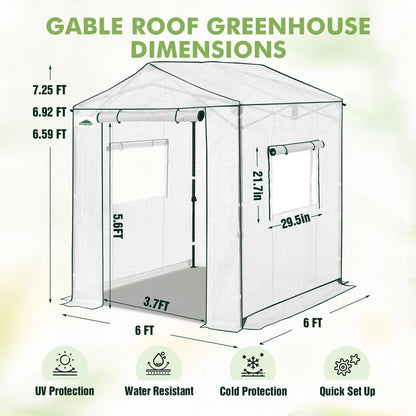 EAGLE PEAK 6x6 Portable Pop Up Greenhouse, Patented Center Lock Easy One Person Setup, Walk-in Outdoor Greenhouse with Gable Roof, Weight Bags, Zippered Doors & Windows, White