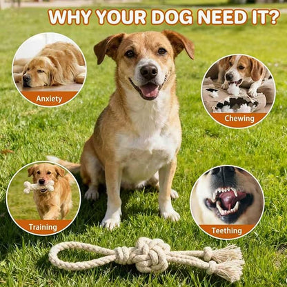 3 Pack Cotton Rope Dog Toy Set, Indestructible Chew Toys for Aggressive Chewers, Puppy Teething Toys with Bone, Human & Chinese Knot Designs for Boredom Relief & Tug of War， White