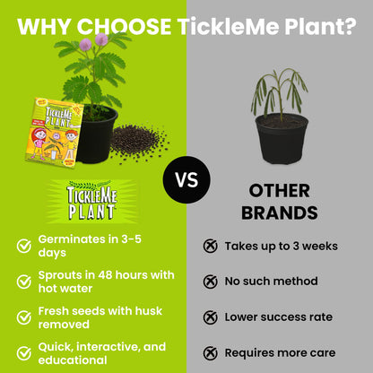 TickleMe Plant Deluxe Family Greenhouse Kit - Grow the Playful Plant that Closes Its Leaves When Tickled! Includes Mini Greenhouse, 3 Seed Packets, Soil Pellets & Pots - Fun Indoor Gardening Gift