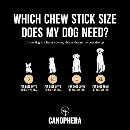 Canophera Dog Chew Coffee Wood and Coconut Rope Toy for Healthy Teeth and Gums Size Small - All Dog Breeds