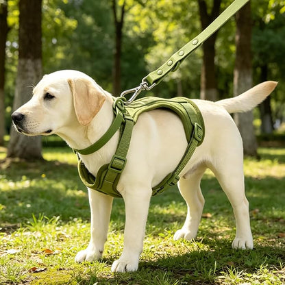 4-in-1 No Pull Dog Harness Set with Collar, Leash, Poop Bag, Adjustable, M