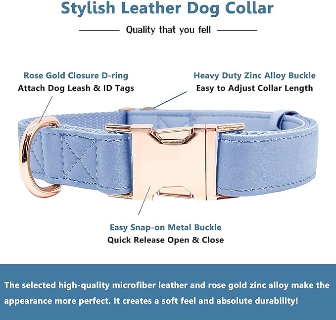Soft Leather Dog Collar and Leash (6.6') Set - Stylish Rose Gold Heavy Duty Metal Buckle, 4 Adjustable Lengths Leash for Small Medium Large Dogs - Comfortable & Easy to Clean BluePurple M(13.8"-19.7")