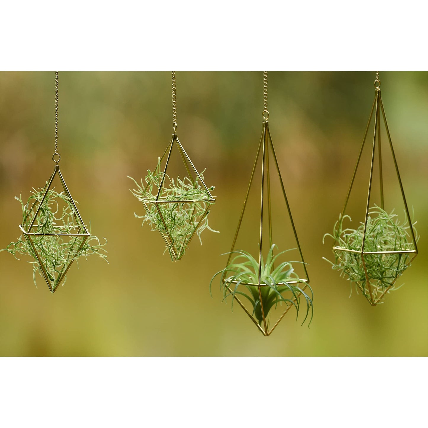 libproqia Air Plants Holders Hanging Airplants Hangers Himmeli Metal Wire 4Pcs Geometric Display Airfens Planter Frame 2 Sizes Tillandsia Holder with Chain and Hooks Decor for Home Office