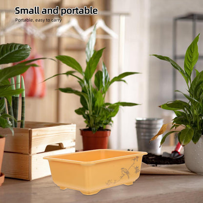 TIDTALEO 2pcs Breathable Succulent Planter Pots with Bird Pattern Thick-Walled Indoor Outdoor Garden Vegetable Flower Planters for Healthy Root Growth and Stylish Home Decor