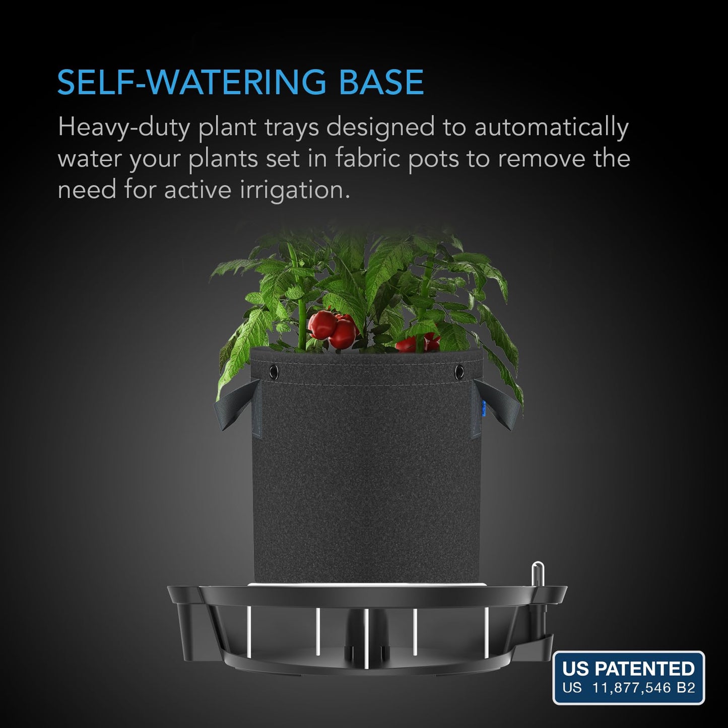 AC Infinity 10-Gallon Fabric Pots & Self-Watering Base XL Bundle – 5 Heavy-Duty Grow Bags with 4 Extra Large Auto-Irrigation Water Delivery Saucers for Indoor Tents, Greenhouses, and Gardens