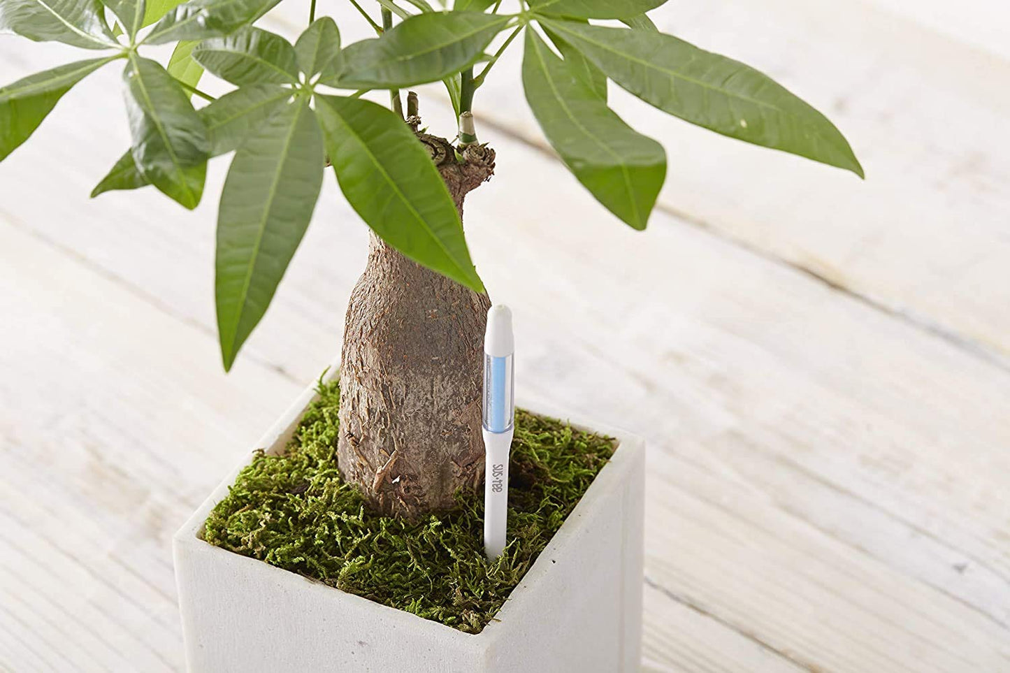 Sustee Aquameter (Small White Refillable - Bundle of 2) - House Plant Soil Moisture Meter, Humidity Sensor Probe, Water Level Indicator - Best for Indoor Potted Plants