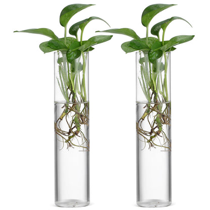 SILENRADAWN Cylinder Glass Wall Vase Set 2pcs Hanging Hydroponic Flower Tube Vases for Indoor Plants Wall-Mounted Plant Holders Decorative Terrarium Containers for Home and Office