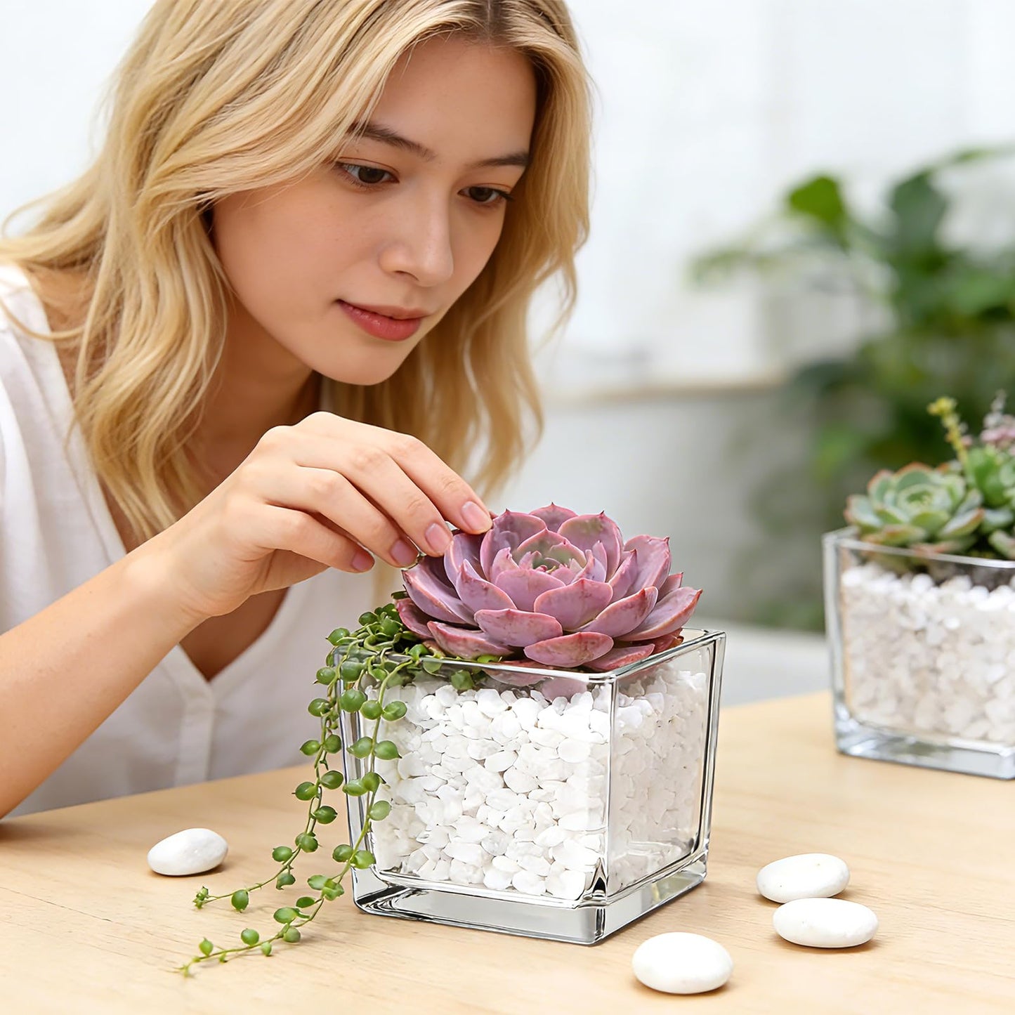 6 Pack Square Glass Vase 4" x 4" x 4", Clear Cube Vases for Centerpieces, Thickened Glass Flower Vases, Plant Terrarium, Floating Candle Holder for Wedding Party, Office/Home Decor, Events