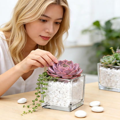 6 Pack Square Glass Vase 4" x 4" x 4", Clear Cube Vases for Centerpieces, Thickened Glass Flower Vases, Plant Terrarium, Floating Candle Holder for Wedding Party, Office/Home Decor, Events