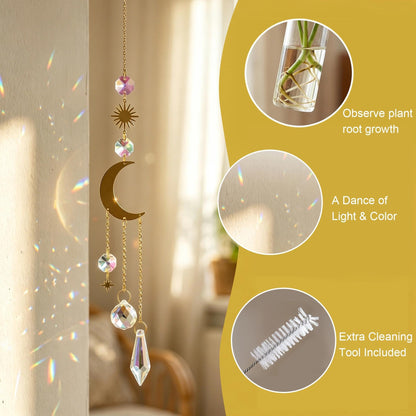 HDCRYSTALGIFTS 6 Pcs Crystal Suncatchers with Plant Propagation Station,Glass Window Wall Planters for Indoor Plants Hydroponics, Hanging Sun Catcher with Chain for Home Garden Whimsical Decor