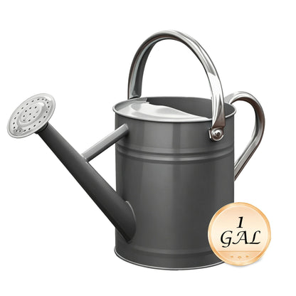SunnyTong Metal Watering Can for Outdoor and Indoor Plants, Watering Can Decor, 1 Gallon (Gray)