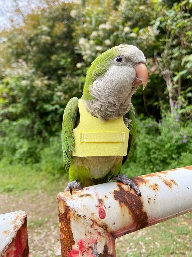 Bird Flight Harness Vest Parrot Flight Suit with Leash for Parakeets Cockatiels Conures Budgies, Bird Flying Clothes with Rope and Handle for Outdoor Activities Training (S,Yellow)