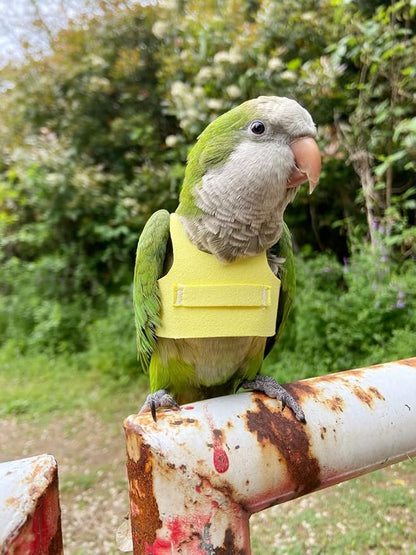 Bird Flight Harness Vest Parrot Flight Suit with Leash for Parakeets Cockatiels Conures Budgies, Bird Flying Clothes with Rope and Handle for Outdoor Activities Training (XS,Yellow)