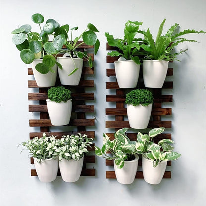 LalaGreen Bundle - 4 Inch, 10 Pack Self Watering White Plastic Pot + 2 Pack Wooden Plant Holder Wooden Hanging Planter, Plant Stand, Air Plant Succulent Holder, Outdoor Vertical Garden