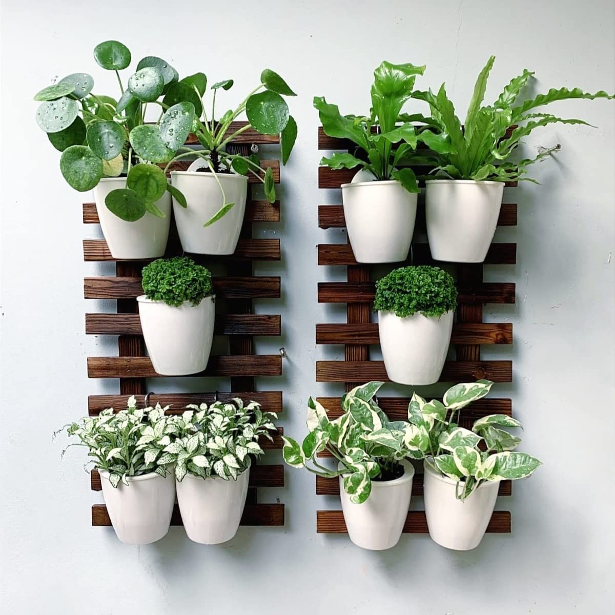 LalaGreen Bundle - 4 inch x 10 Pack Self Watering White Plastic Pot + 4 Pack Wooden Hanging Planters for Indoor Plants, Wall Mount Plant Stand Ladder, Outdoor Vertical Garden