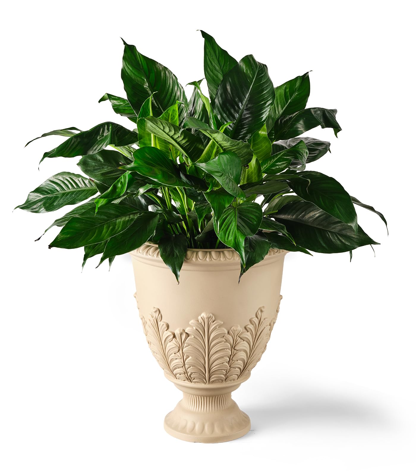 ARBORA 17" Paris Urn Polyresin Indoor and Outdoor Planter with Cream Finish - Durable, Weatherproof, Lightweight, Large Plant Pot for Patio, Garden, Deck, Entryway