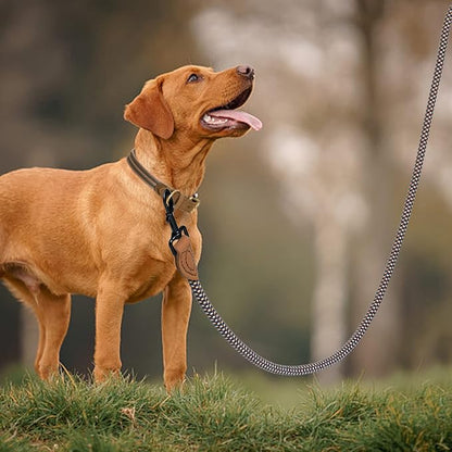 Mile High Life Rope Leash with Genuine Leather Connection, 6 FT/5 FT/4 FT, Heavy Duty Leash for Medium & Large Dogs (Brown, 72 Inch)