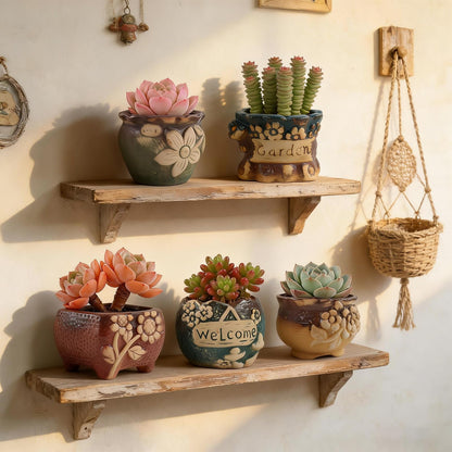 ginojex Succulent Ceramic Garden Pots Small Plant Planter Container with Drainage Set of 5 for Home Office Decor