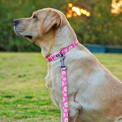 Dog Collar and Leash Set, Cute Pink Daisy Pattern, Polyester Material, 5ft Leash, for Large Dogs.(L, Daisy Set)