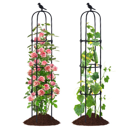 FOLLOOK Garden Obelisk Trellis for Climbing Plants Outdoor, Lightweight Climbing Plant Support Flower Roses Clematis Vegetable Light Vines Round Trellis for Raised Garden Bed Planter, Black, 2 Pack