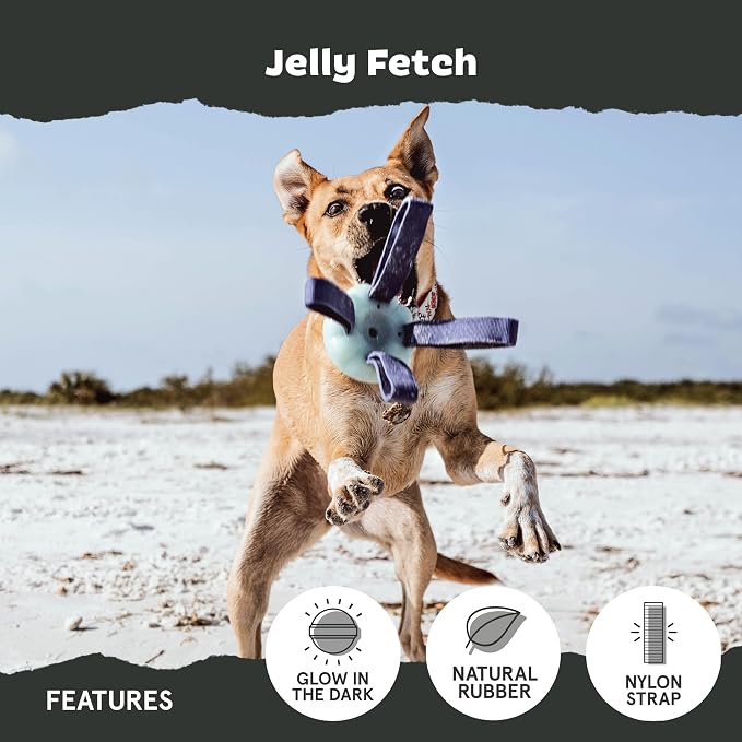 Barkbox Jelly Fetch Dog Toy for Medium Dogs – Perfect for Tug and Fetch Play, Durable Design with Strong Nylon Straps for Long-Lasting Fun