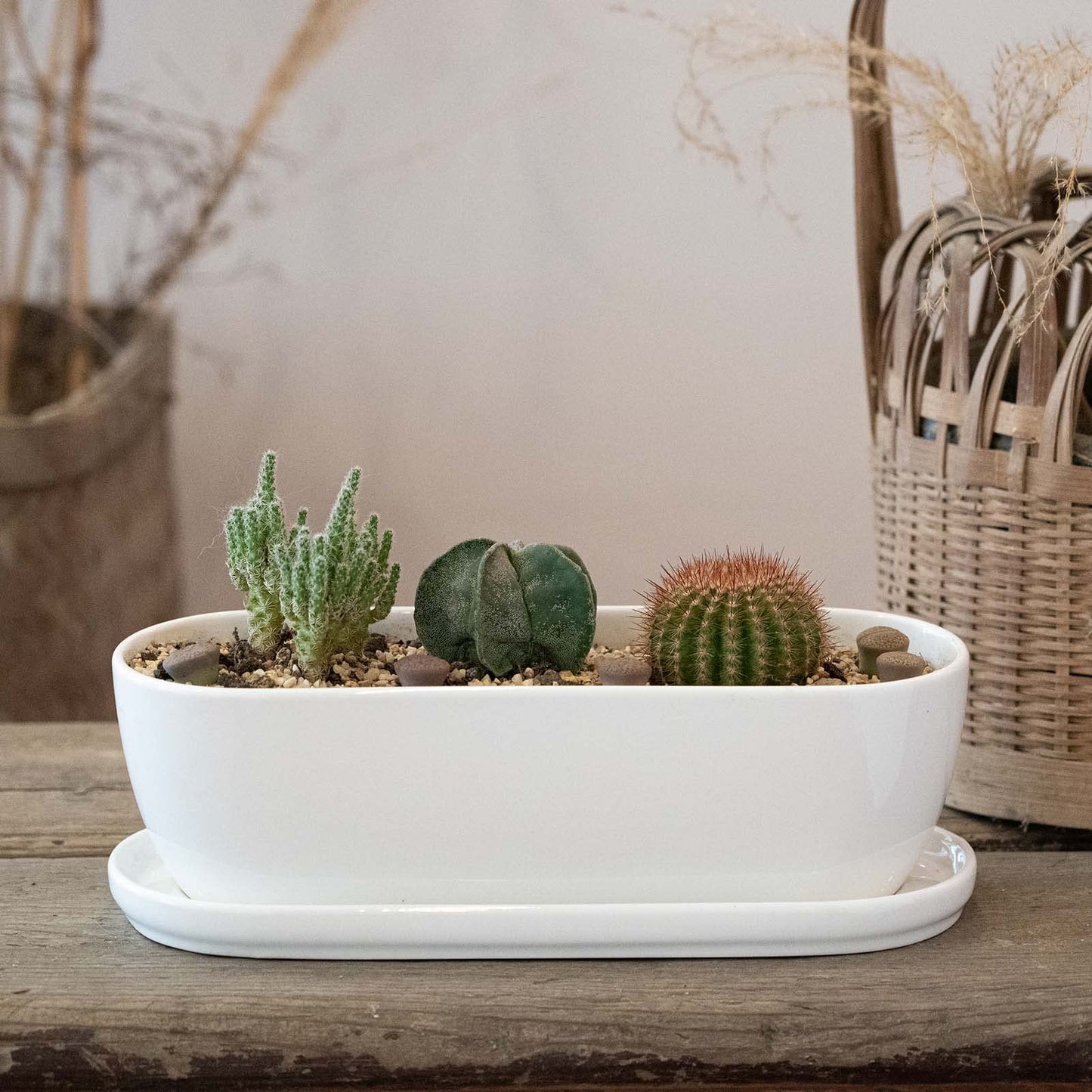E-liu Ceramic Plant Pots, 11+14 inch, Set of 2, Planters with Drainage Holes Saucers and Mesh Pads, Indoor Flower Succulent Pot with Hole Mesh Pad, Gifts for Mom, Plants Not Included