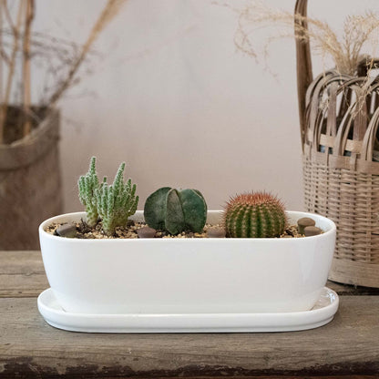E-liu Ceramic Plant Pots, 11+14 inch, Set of 2, Planters with Drainage Holes Saucers and Mesh Pads, Indoor Flower Succulent Pot with Hole Mesh Pad, Gifts for Mom, Plants Not Included