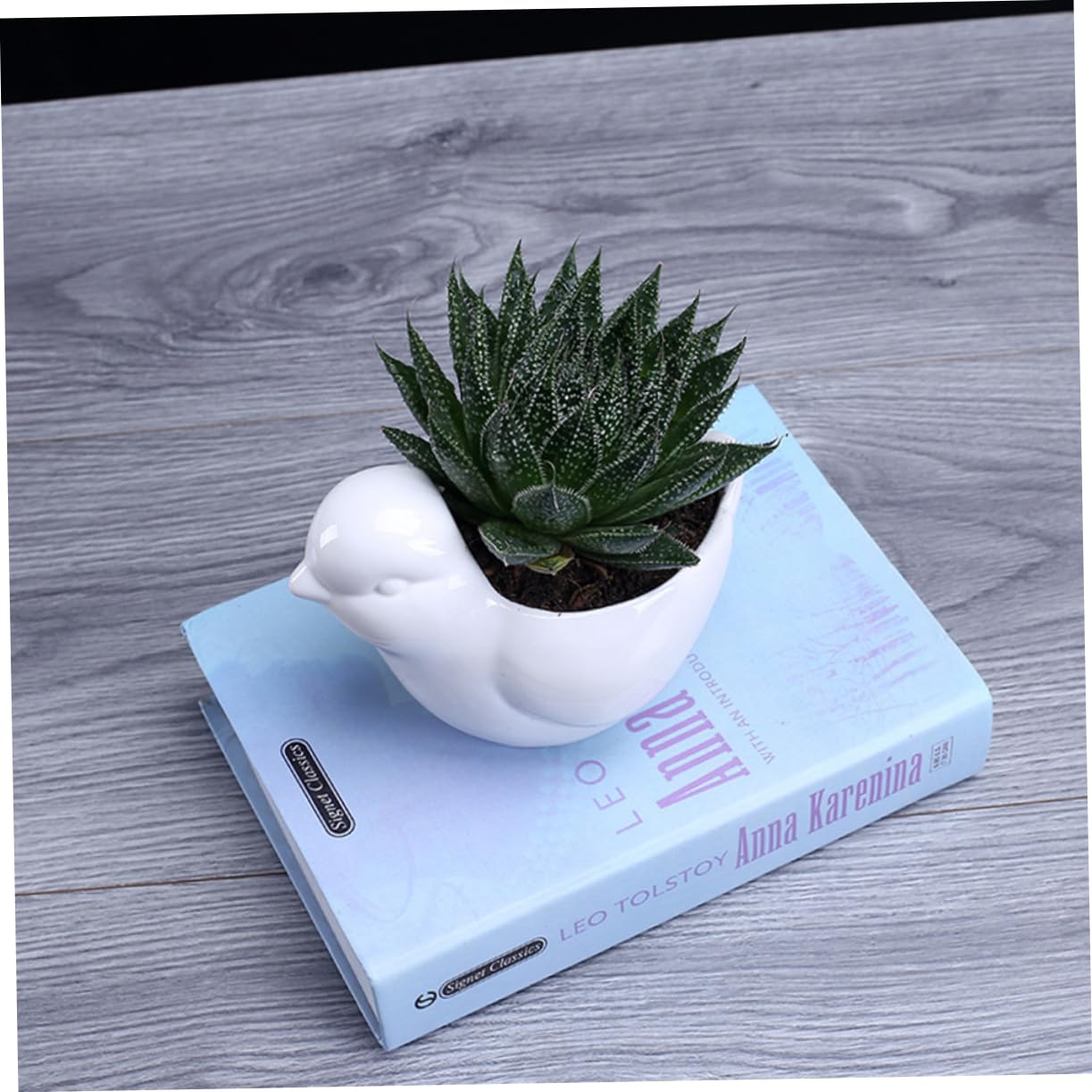 Toddmomy 1pc Ceramic Bird Shape Flower Pot Succulent Plant Pot Desktop Decor Home Office Garden Fairy Garden Accessories