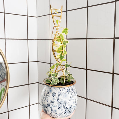 GOOOXIM Indoor Plant Trellis for Potted Plants - Durable Metal Climbing Trellis with Unique DNA Spiral Design for Vining Plants, Easy Installation for Indoor & Outdoor Use